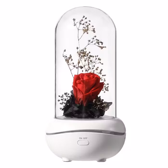 Diffuser Eternal Rose