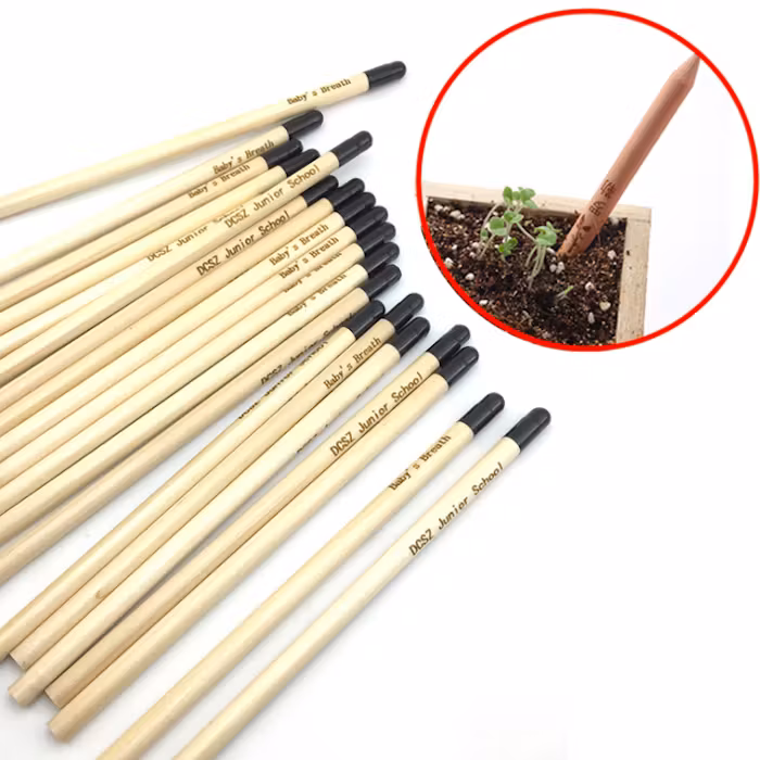 Wood Sprout Pencil