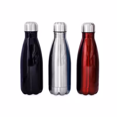 Insulated Stainless Steel Sports Bottle